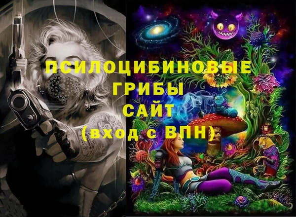 ПСИЛОЦИБИНОВЫЕ ГРИБЫ Киреевск