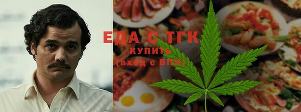 индика Козельск