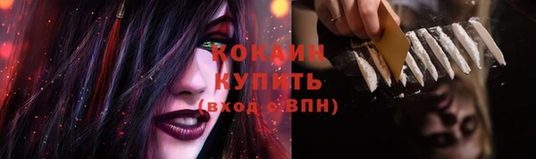 индика Козельск