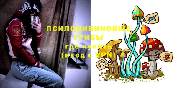 mdpv Александровское