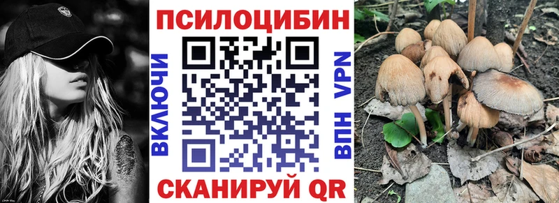 Купить закладки Алексин Псилоцибиновые грибы MAGIC MUSHROOMS